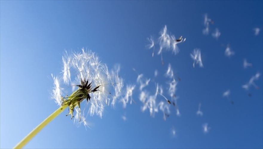 ホームページ制作のバンビットコーポレーションについて